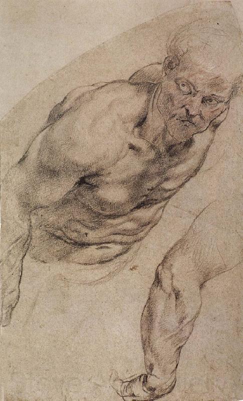 Peter Paul Rubens Portrait of naked man